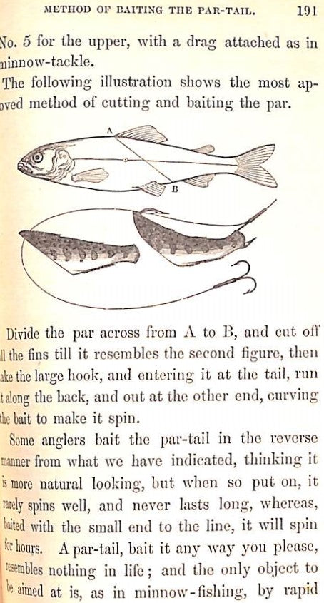 a concise treatise on the art of angling fishing lure The Practical Angler, Or, The Art of Trout-Fishing" 1857 STEWART W.C