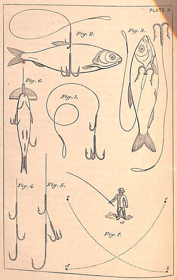 "Angling" 1877 FRANCIS, Francis