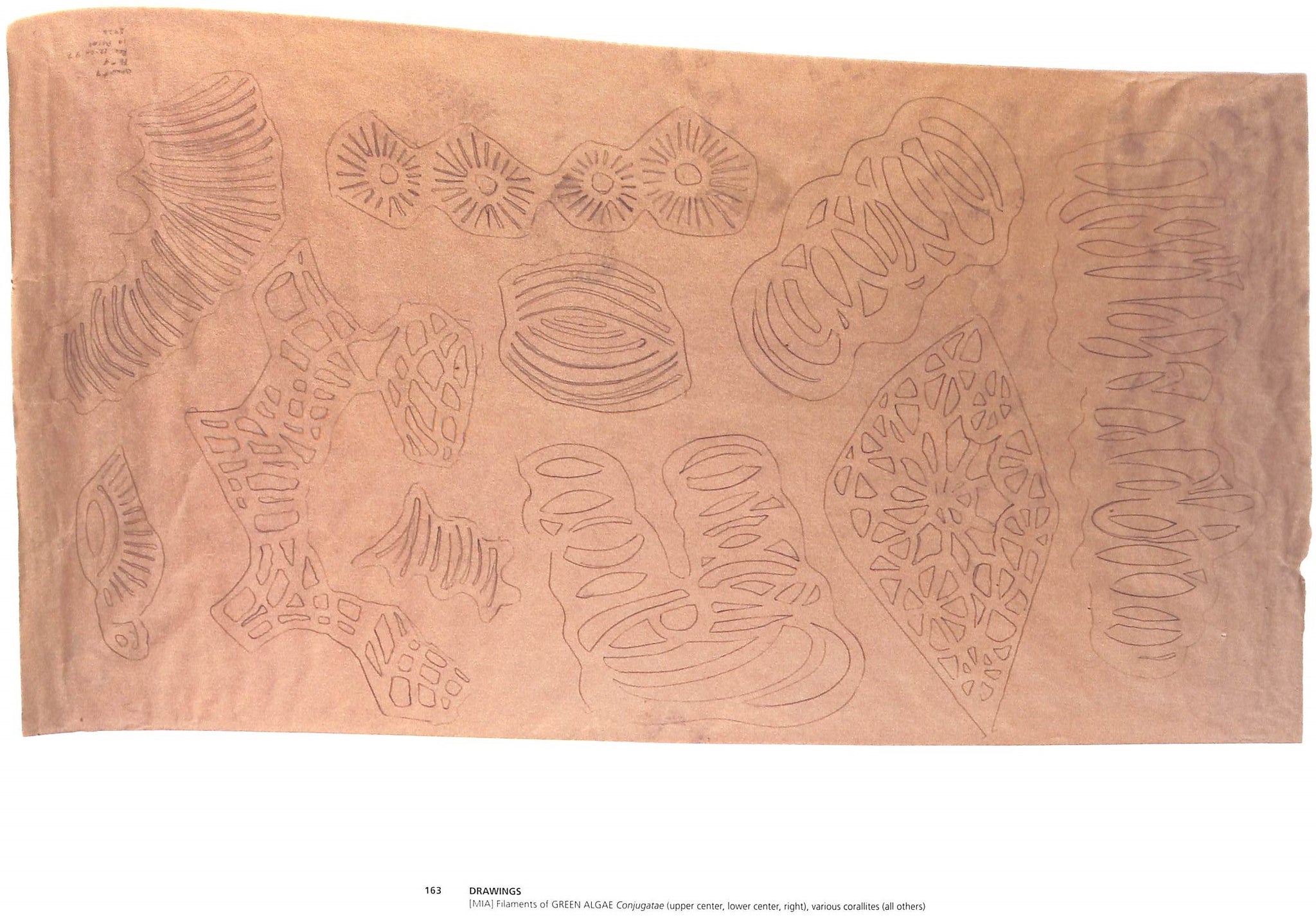 "Workbook" 2004 DONER, Michele Oka