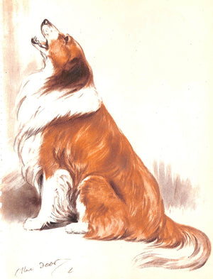 "Diana Thorne's Dogs: An Album of Drawings" 1944 THORNE, Diana