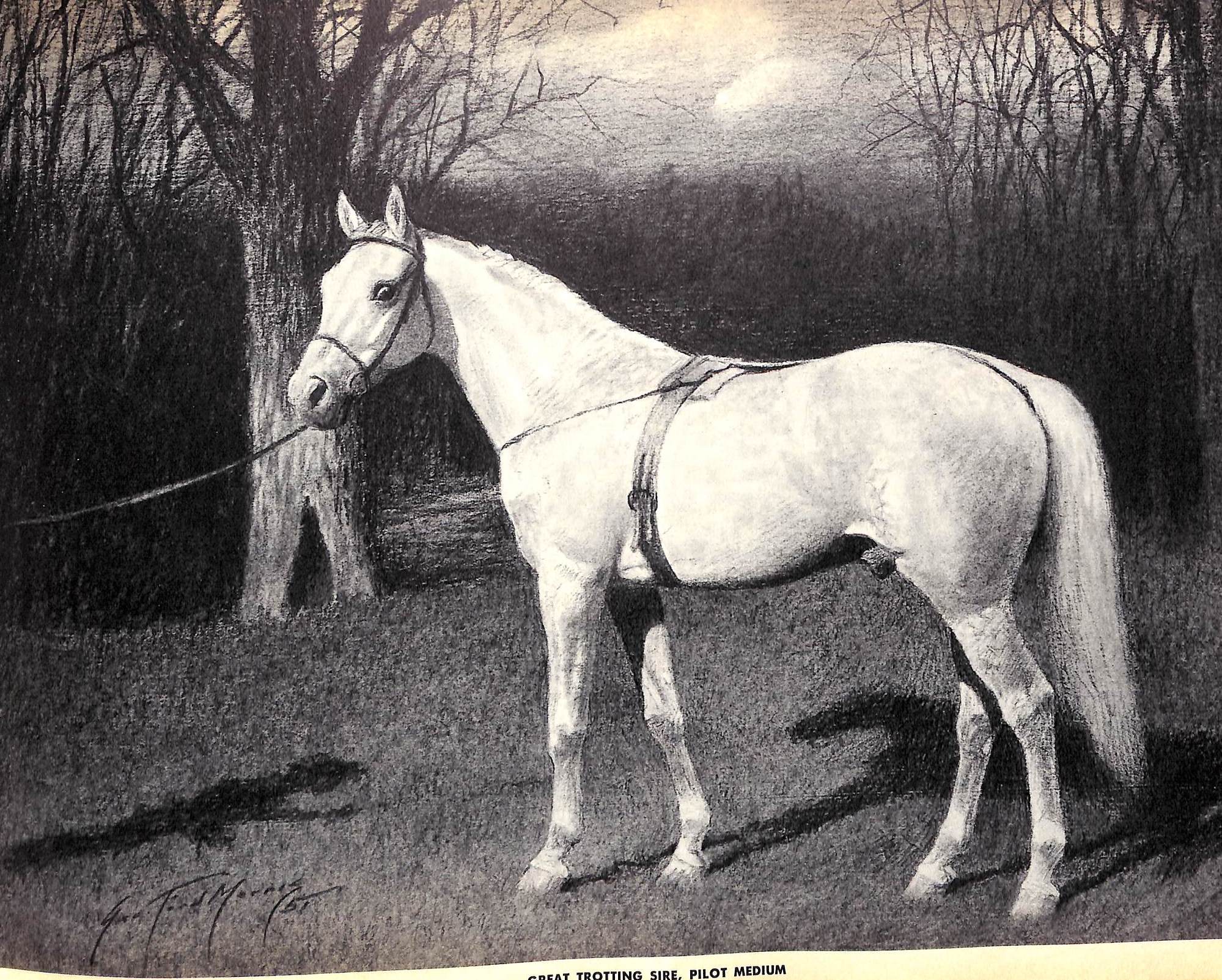 "Portraitures Of Horses" 1952 MORRIS, George Ford (SOLD)