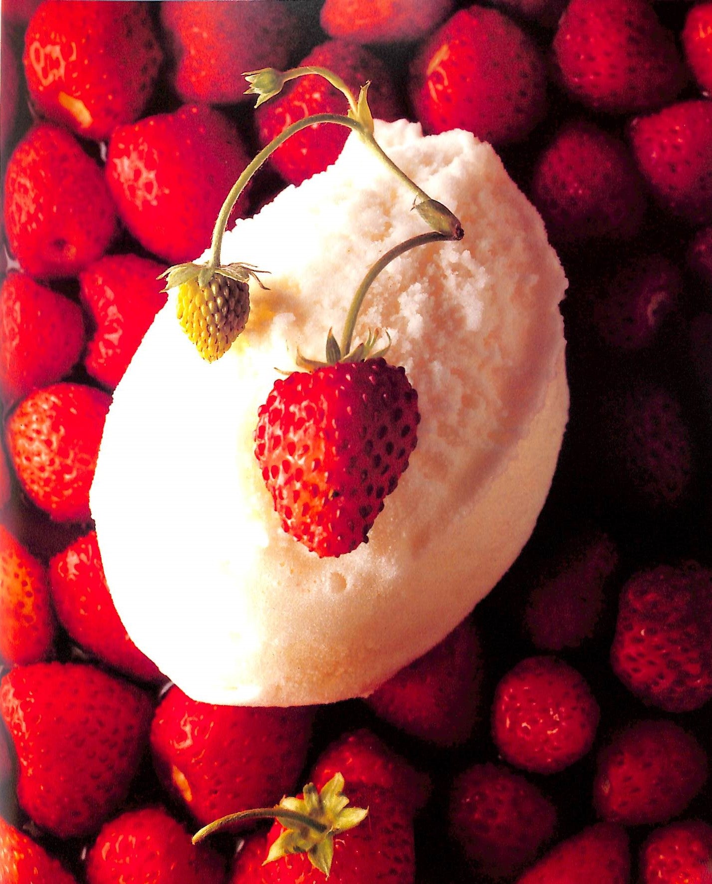 "La Riviera d'Alain Ducasse: Monte-Carlo" 1992 DUCASSE, Alain; DE MONACO, Rainier III (editor); COMOLLI, Marianne; BLOCH-LAINE, Jean-Louis (photographer) (SOLD)