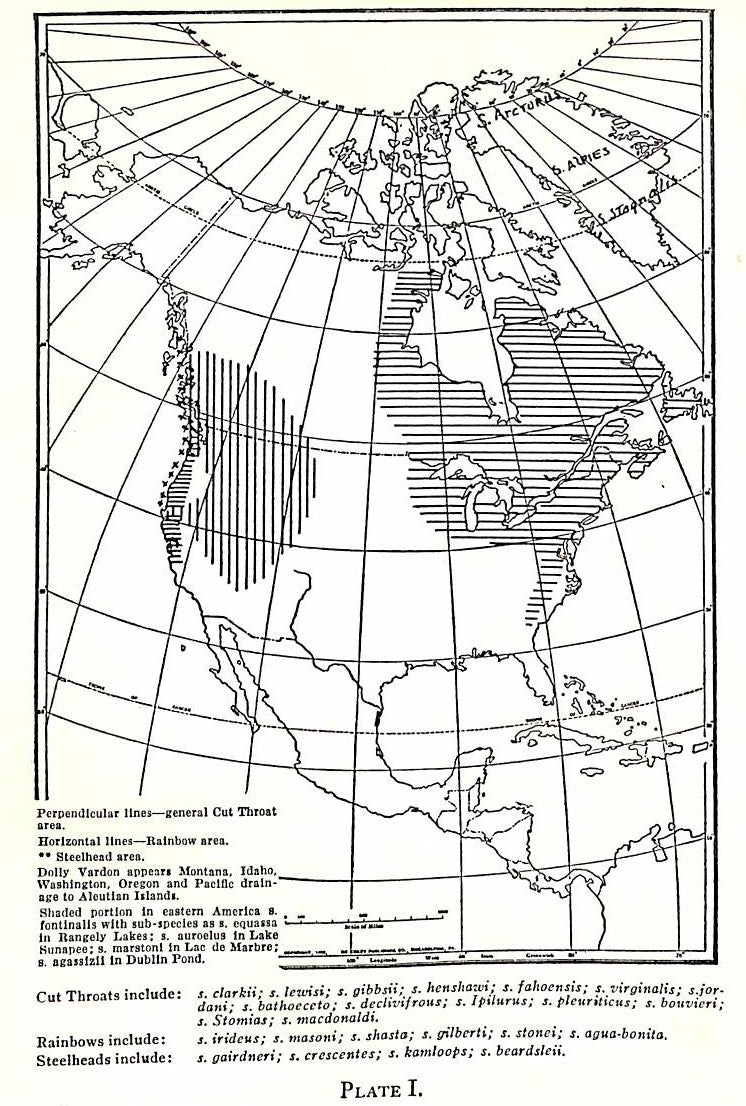 "American Trout Streams" 1926 INGRAHAM, Henry Andrews (SOLD)