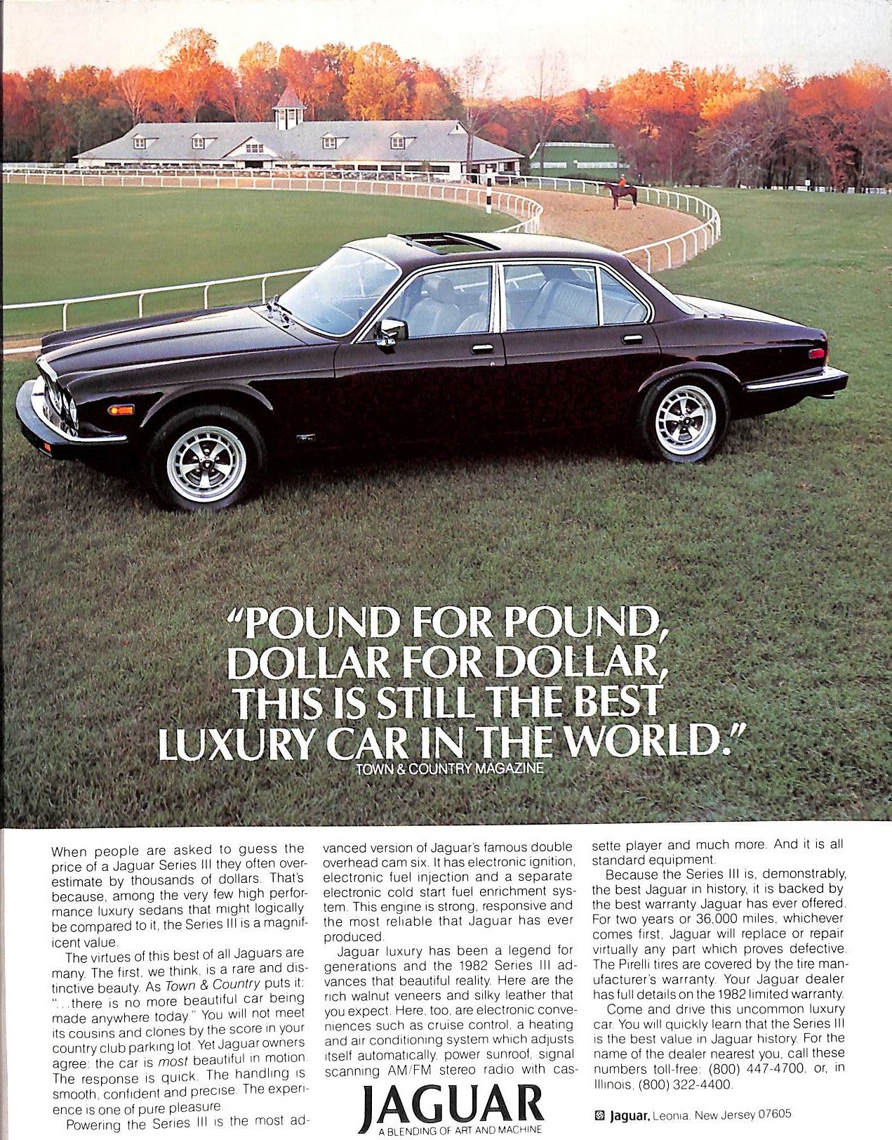 "Saratoga Polo Association: 1982 Official Program"