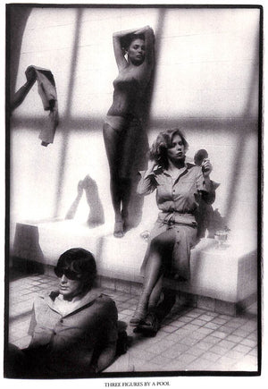 "Fashion: Theory" 1980 DI GRAPPA, Carol