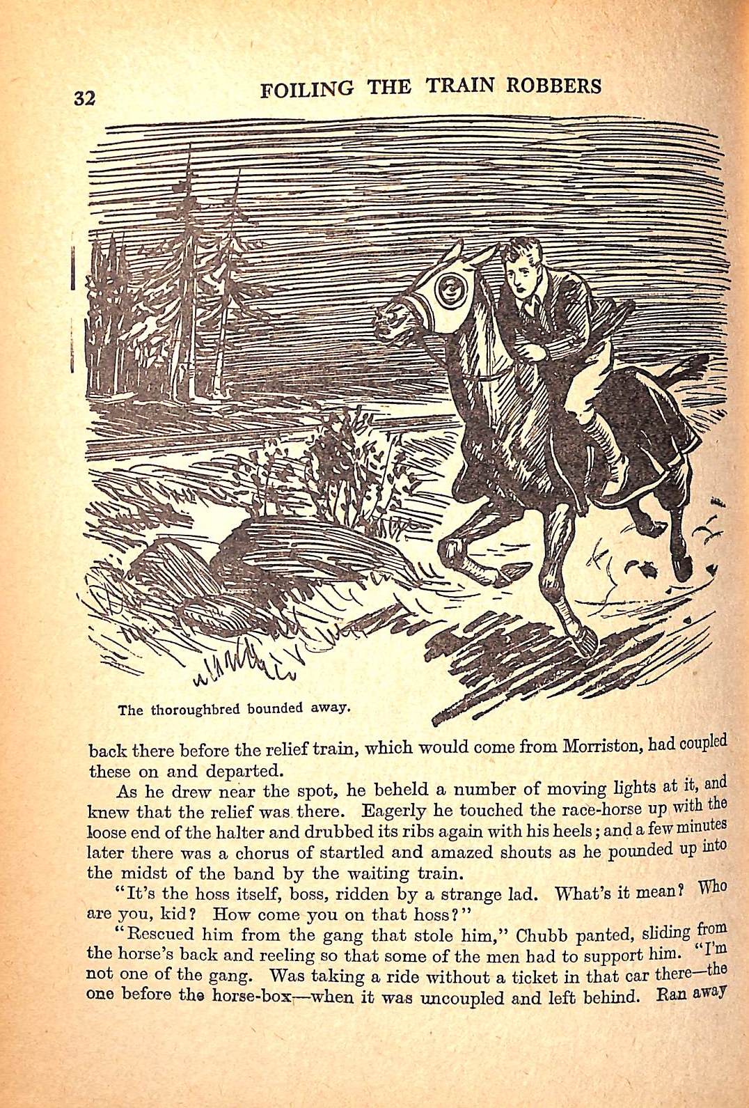 "Schoolboy's Adventure Book"