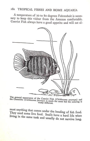 "Tropical Fishes and Home Aquaria: a Practical Guide to a Fascinating Hobby" 1936 MORGAN, Alfred