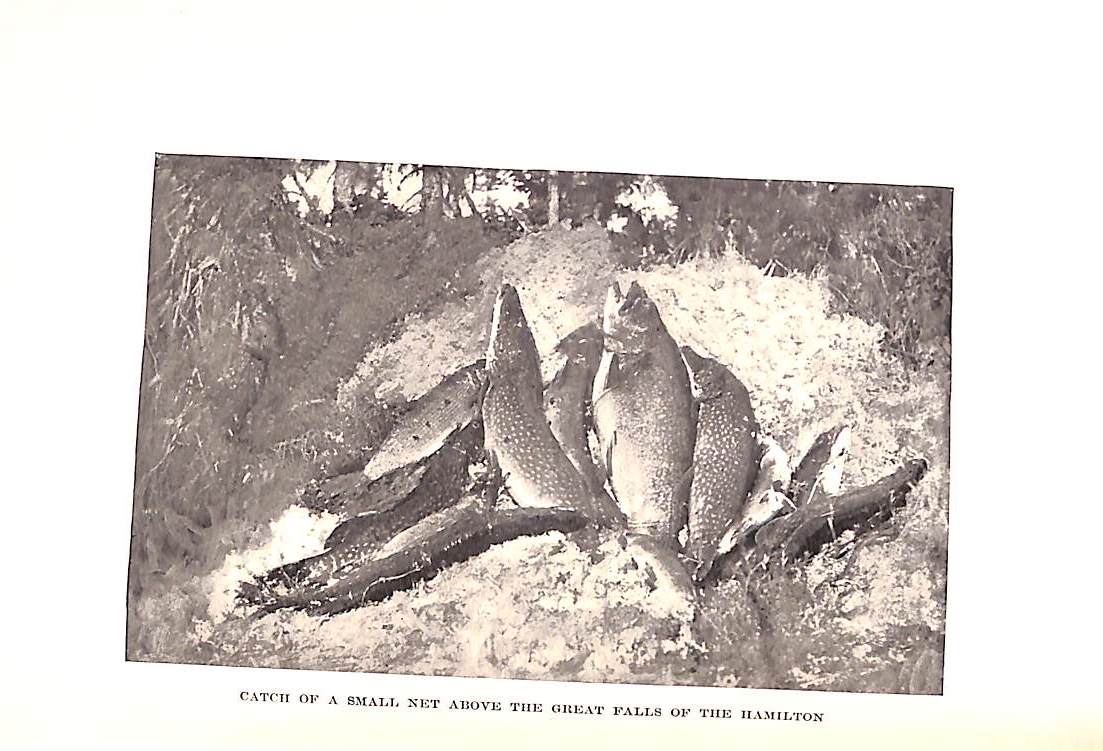 "The Ouananiche and its Canadian Environment" 1896 CHAMBERS, E.T.D.