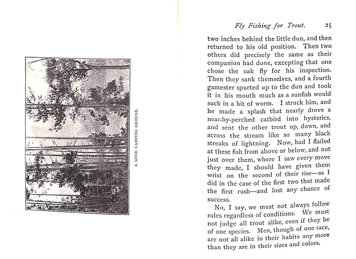 "The Book Trout and the Determined Angler" 1970 BRADFORD, Charles Barker