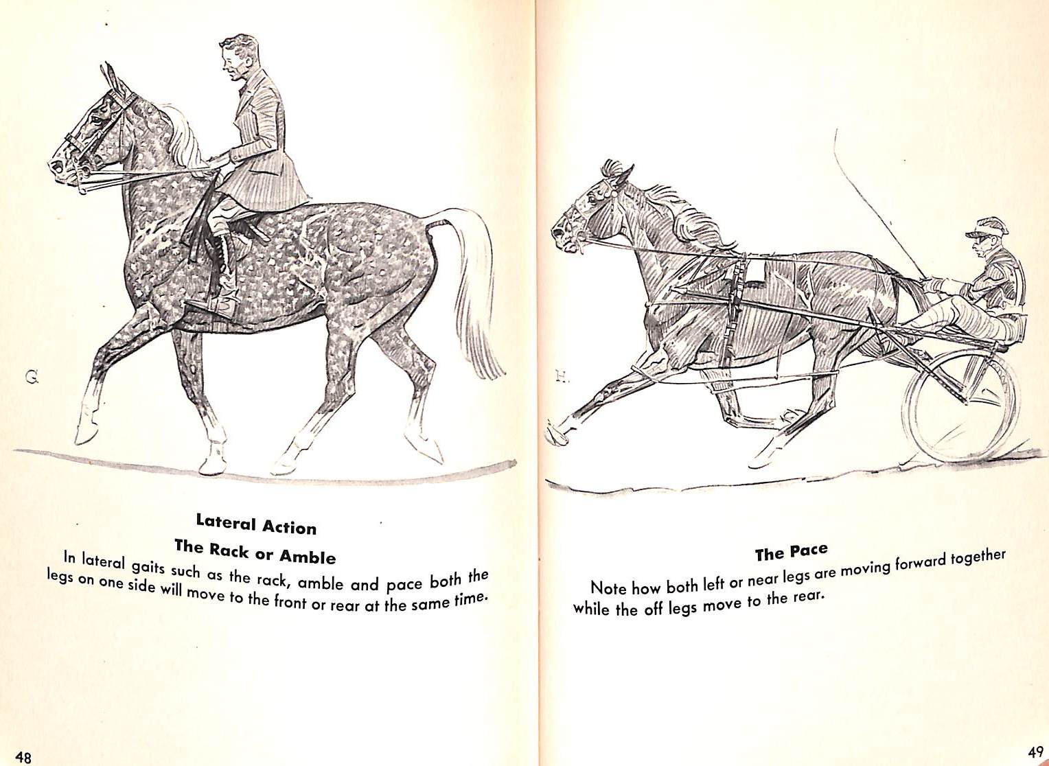 "Draw Horses: It's Fun And It's Easy" 1949 BROWN, Paul (SOLD)