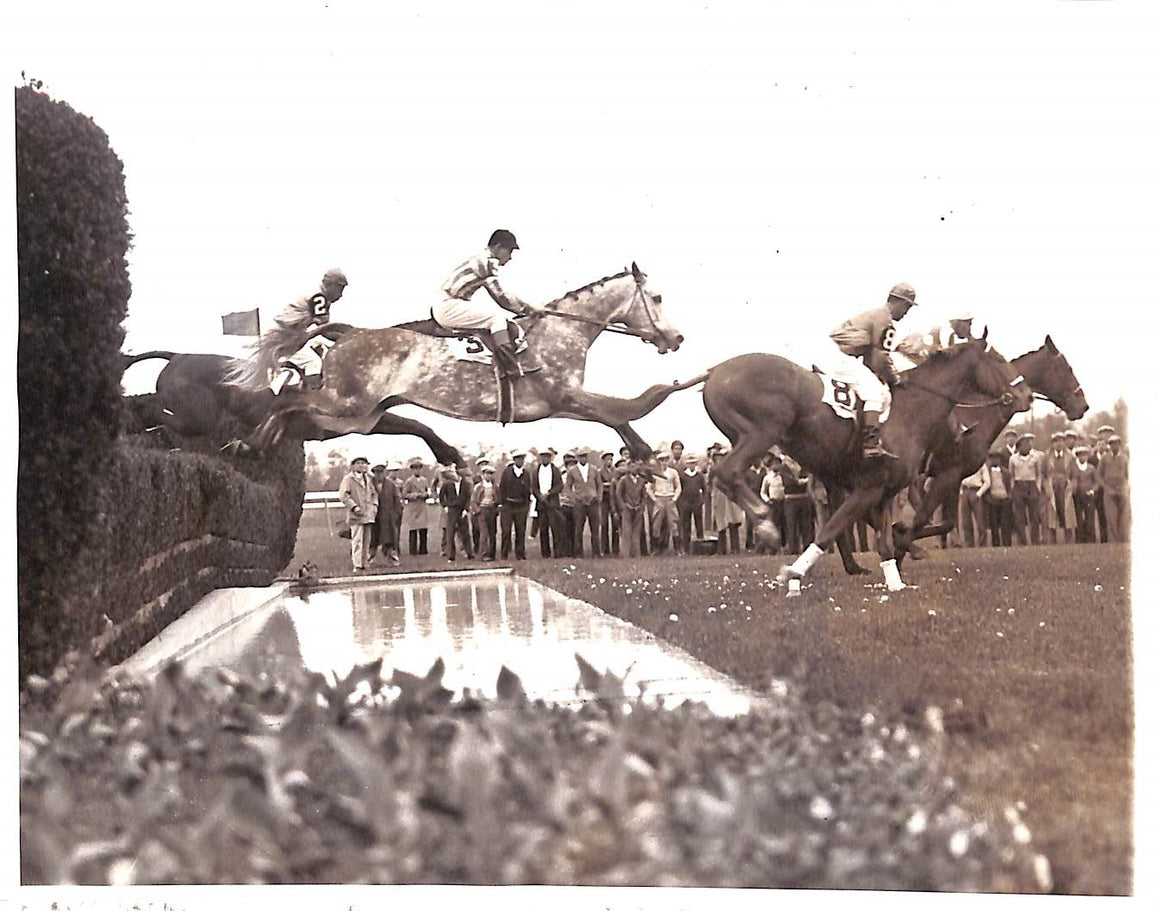 B&W Photo Of The 1932 Running Of The International Steeplechase At Belmont Park
