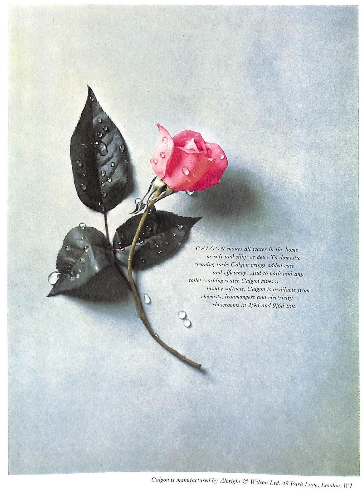 "Mozart Bicentenary Festival 1956 Programme Book"