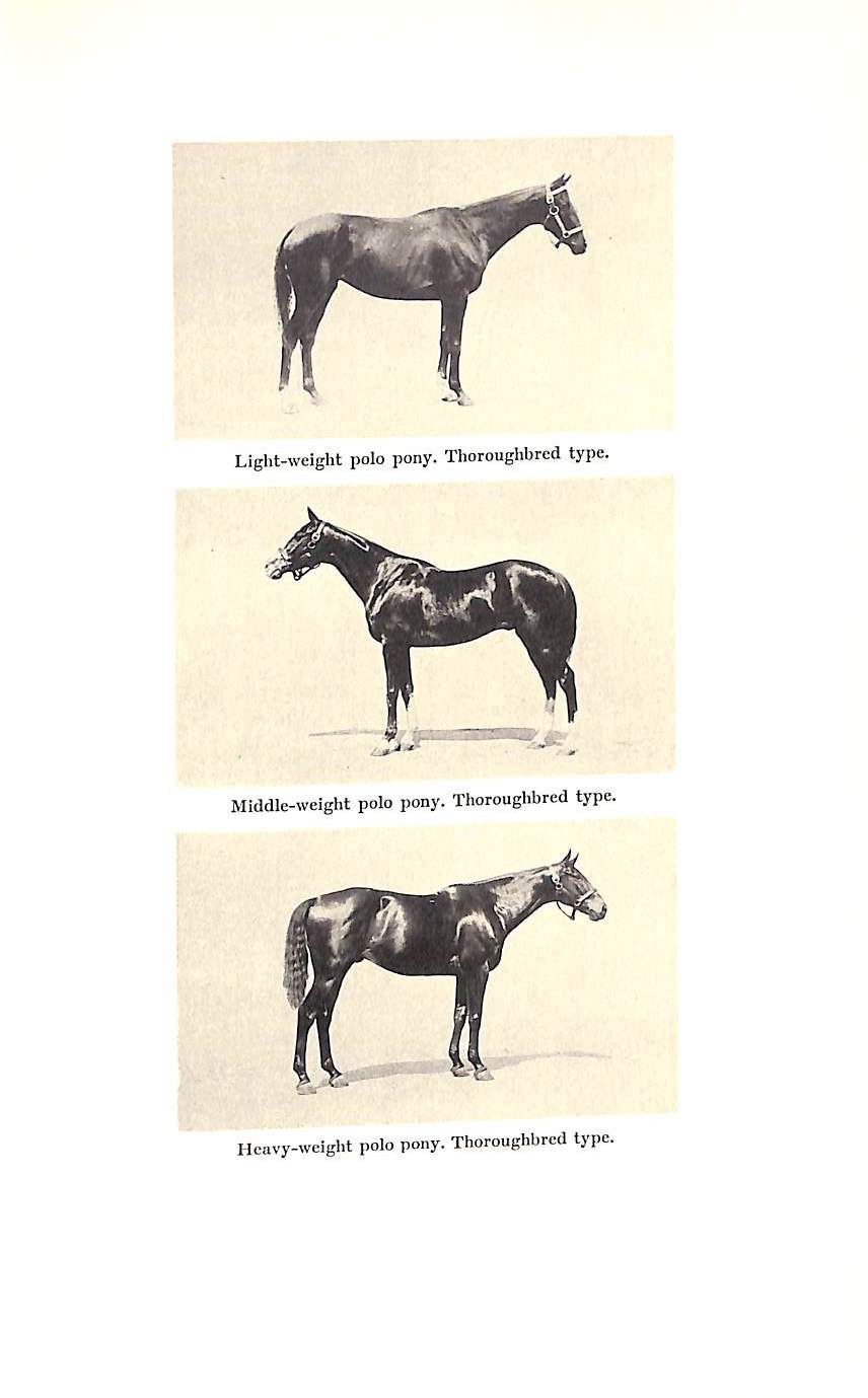 "Polo Ponies: Their Training And Schooling" 1933 KENDALL, Paul Green (SOLD)