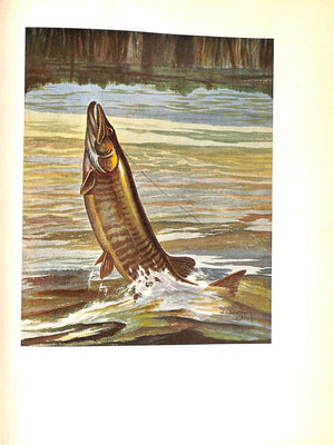 "Fish By Schaldach" 1937 SCHALDACH, William