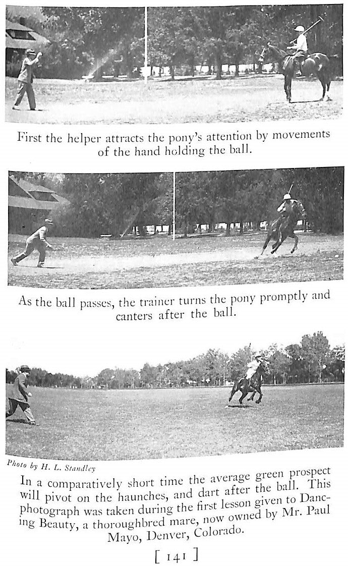 "Selection And Training Of The Polo Pony" 1934 CULLUM, Grove
