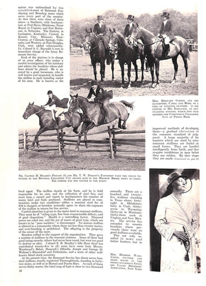 "Country Life: February 1934"