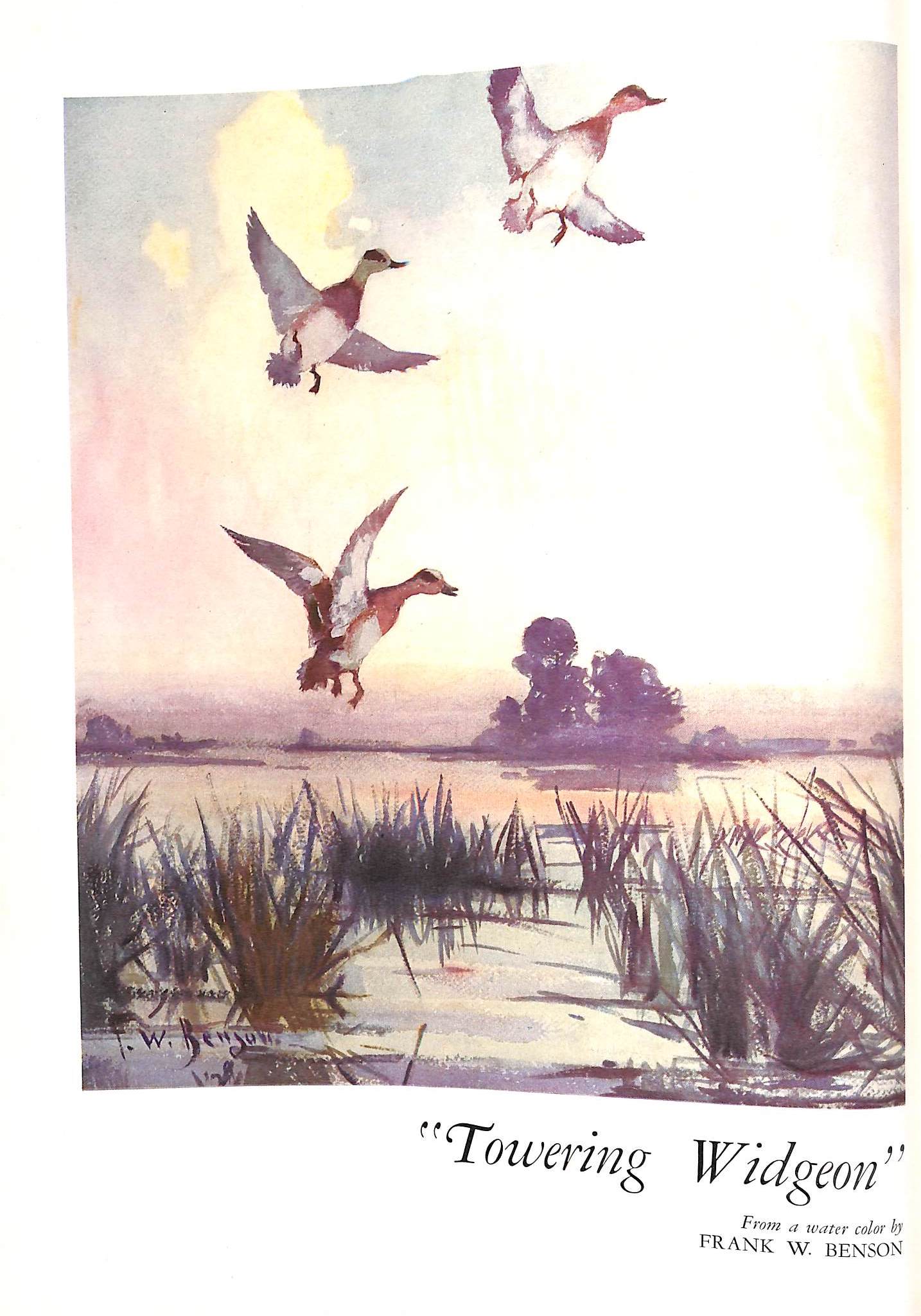 "The Sportsman: November, 1936"