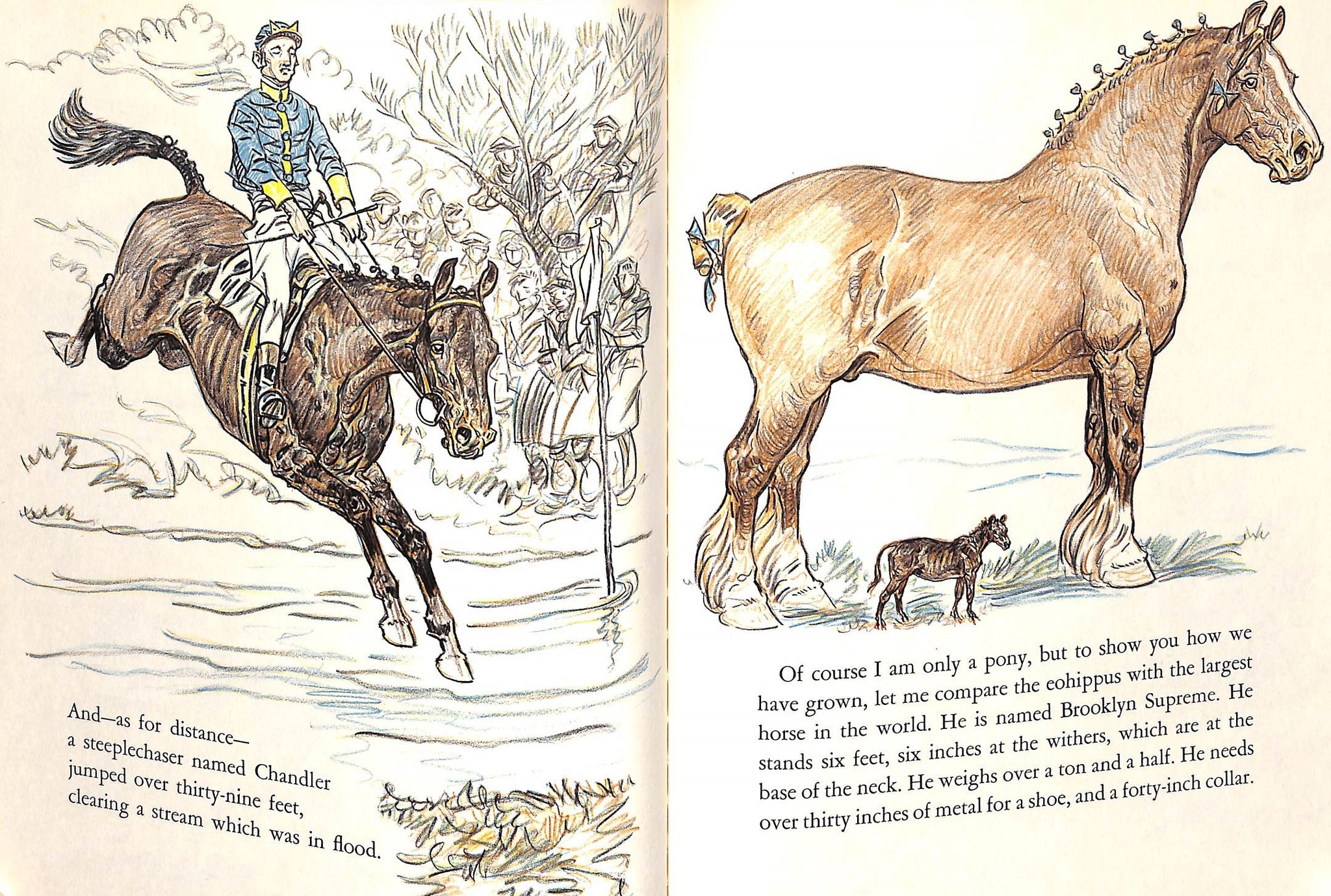 "Your Pony's Trek Around The World" 1956 BROWN, Paul