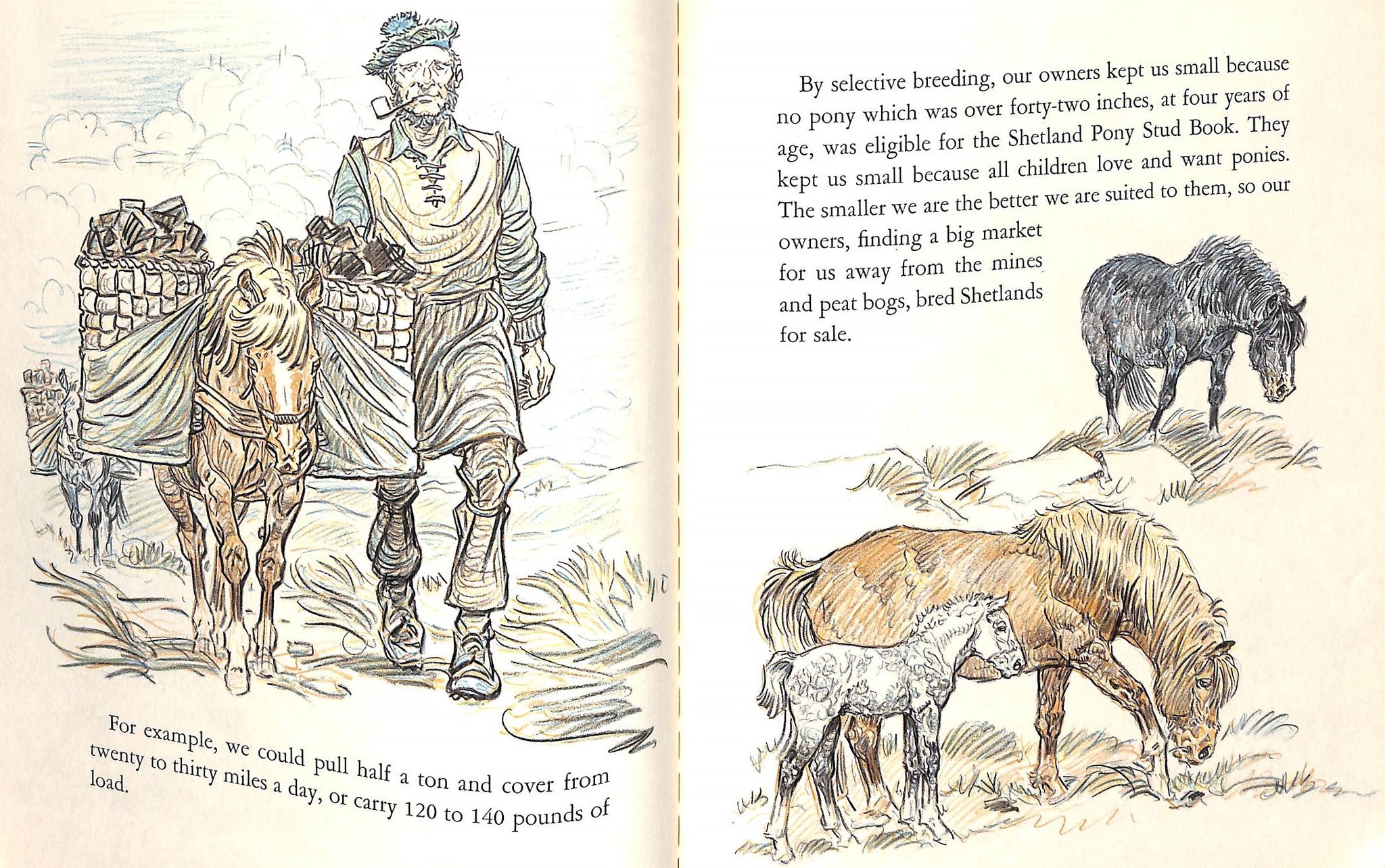 "Your Pony's Trek Around The World" 1956 BROWN, Paul