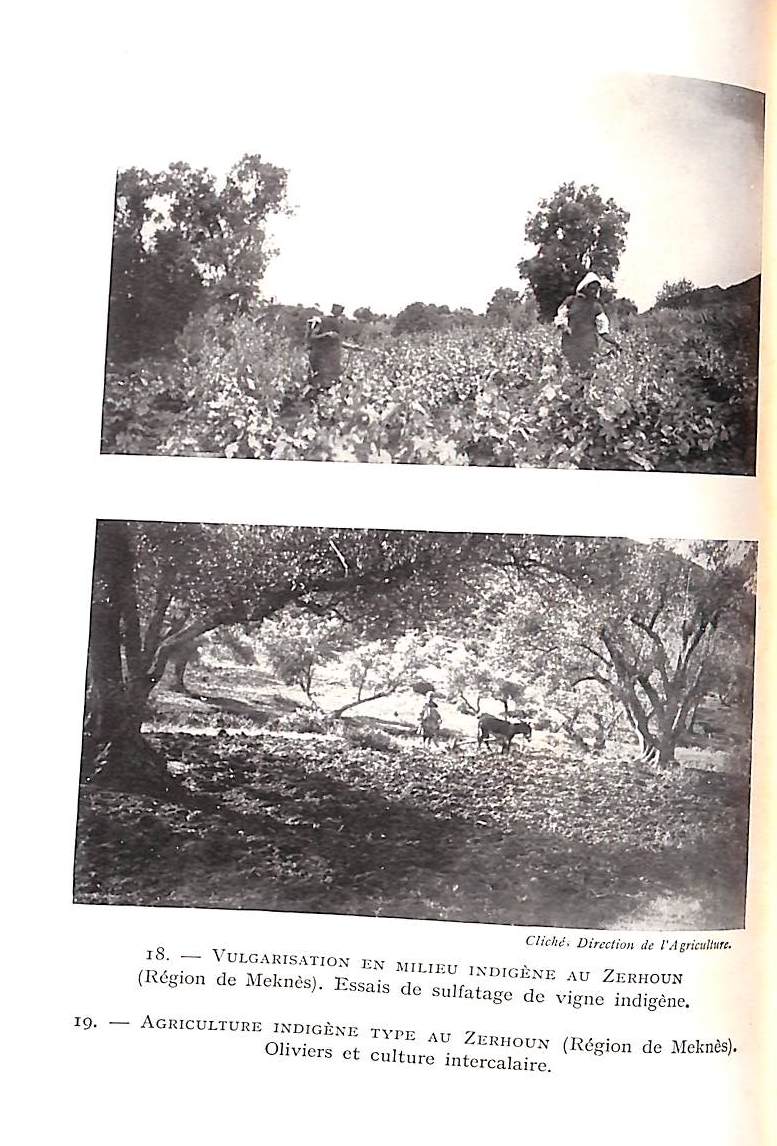 "Initiation Au Maroc" 1944