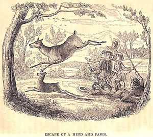 "Wild Sports Of The West: With Legendary Tales And Local Sketches" 1838 HAMILTON, Maxwell