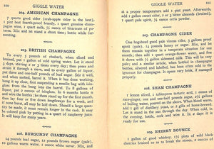 "Giggle Water" 1928 WARNOCK, Charles S.