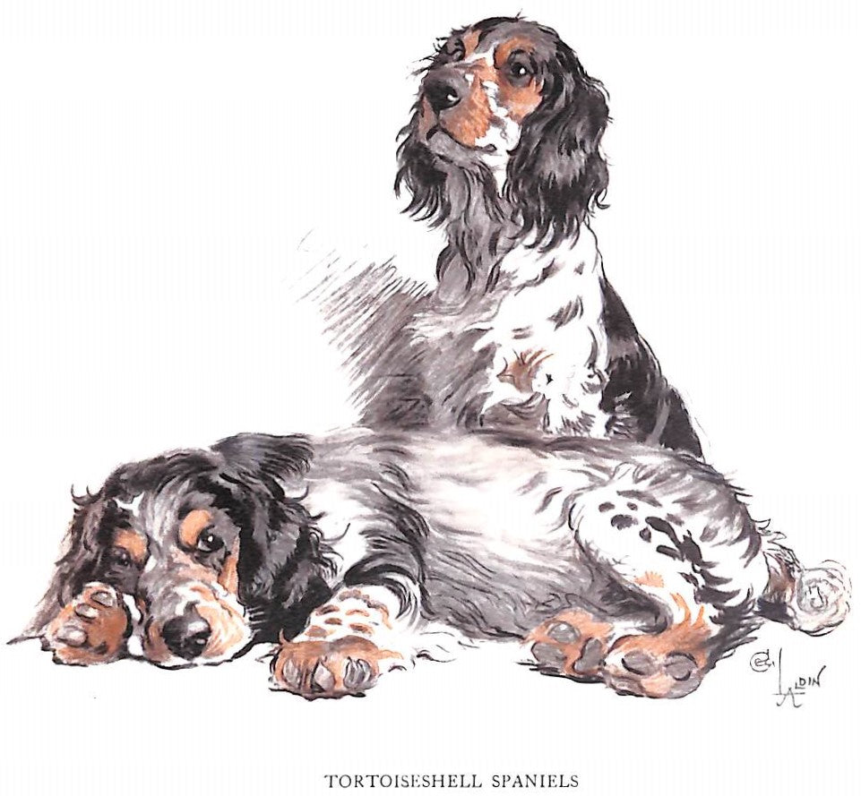 "An Artist's Models" 1930 ALDIN, Cecil