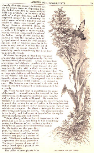 "Harper's New Monthly Magazine: Volume LXIV - December 1881 To May 1882"