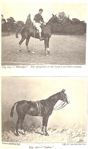 "Modern Polo" MILLER, Lieut. Colonel E.D., C.B.E., D.S.O.