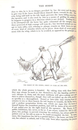 "The Horse In The Stable And In The Field" 1899 WALSH, J.H. and LEENEY, Harold