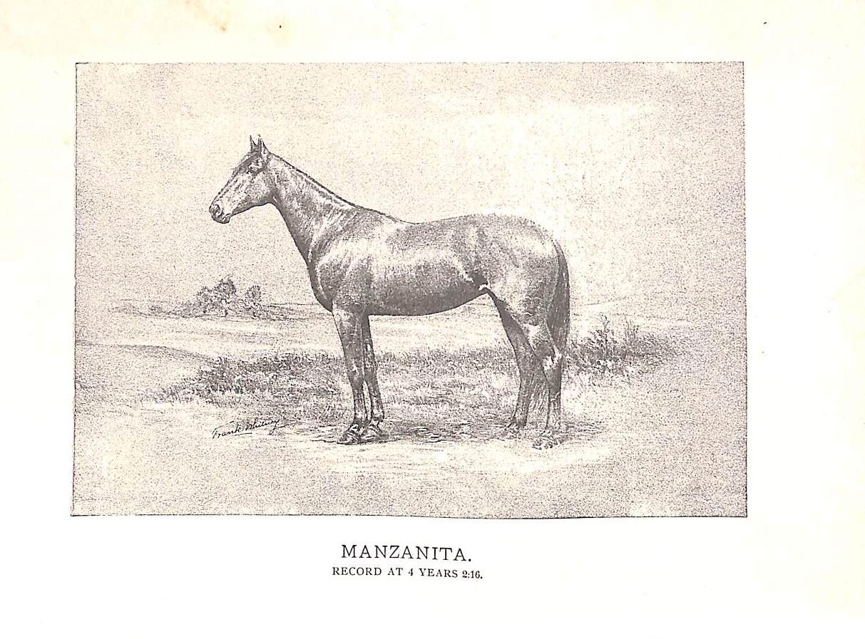 "Training The Trotting Horse" 1891 MARVIN, Charles