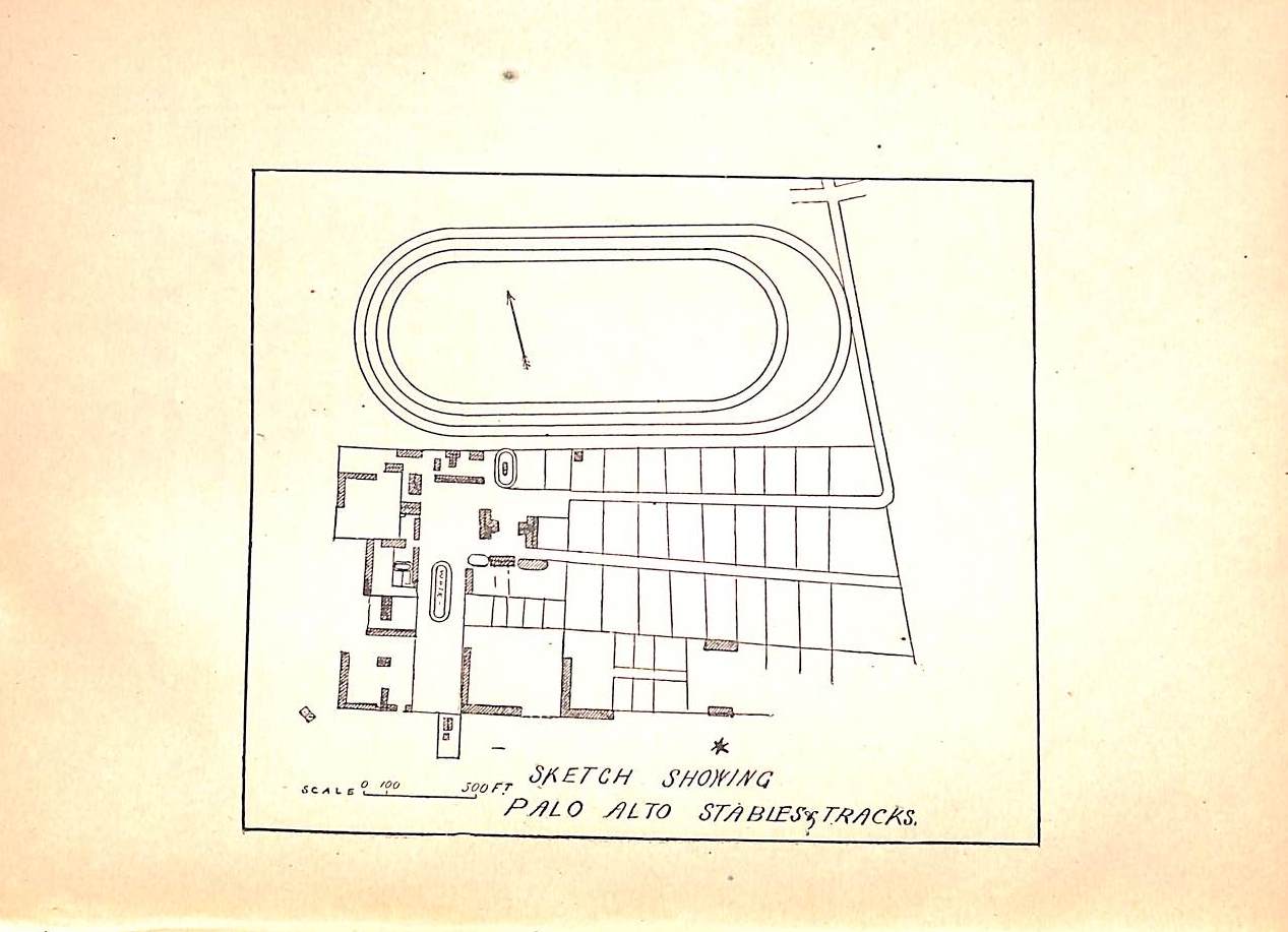 "Training The Trotting Horse" 1891 MARVIN, Charles
