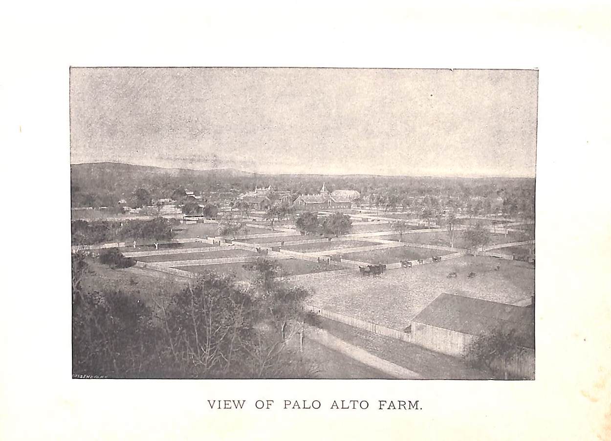 "Training The Trotting Horse" 1891 MARVIN, Charles