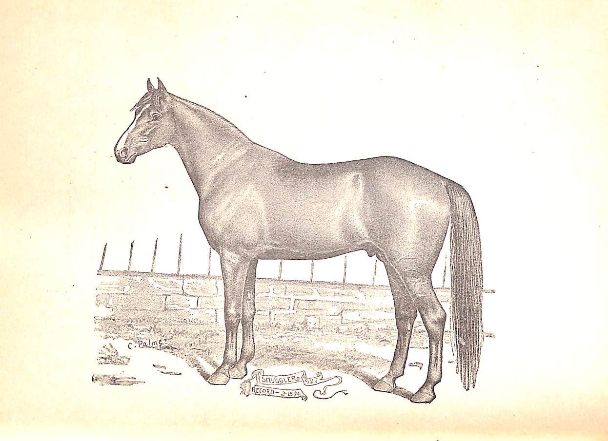 "Training The Trotting Horse" 1891 MARVIN, Charles