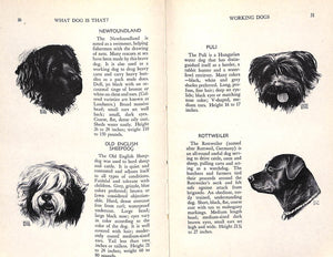 "What Dog Is That?" 1944 BLYTHE, Walter Edward