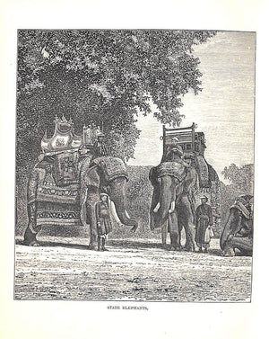 "Tulsipur Fair Glimpses Of Life In North India" BADLEY, Rev. B.H.