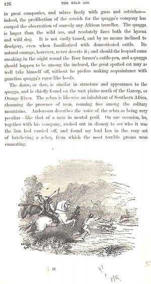 "Wild Sports Of The World: A Boy's Book Of Natural History And Adventure" 1862 GREENWOOD, James