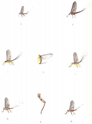 "A Book Of Trout Flies" 1935 JENNINGS, Preston J.