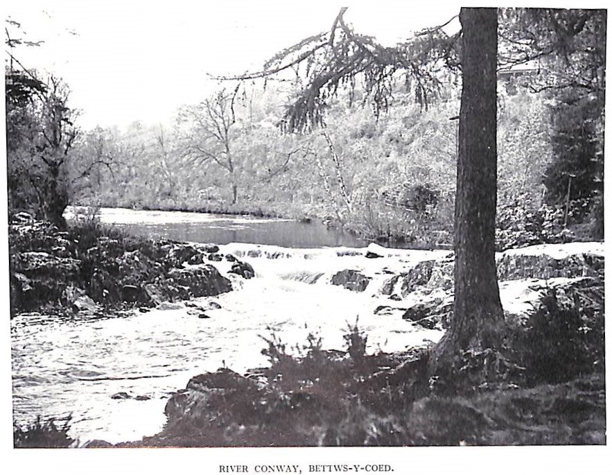 "Where To Catch Salmon And Trout" 1937 ALFIERI, Bernard & MENZIES, W.J.