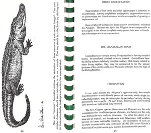 "Jaws, Too: The Story Of Sanibel's Alligators And Other Crocodilians" 1981 CAMPBELL, George R.