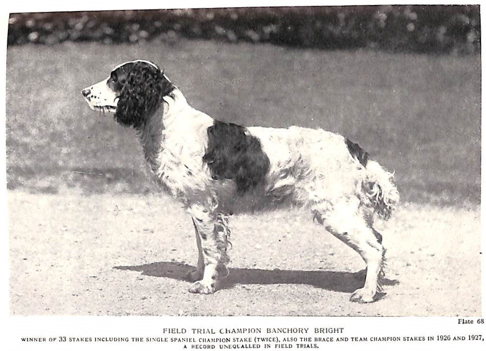 "Shooting By Moor, Field & Shore" 1951 PARKER, Eric