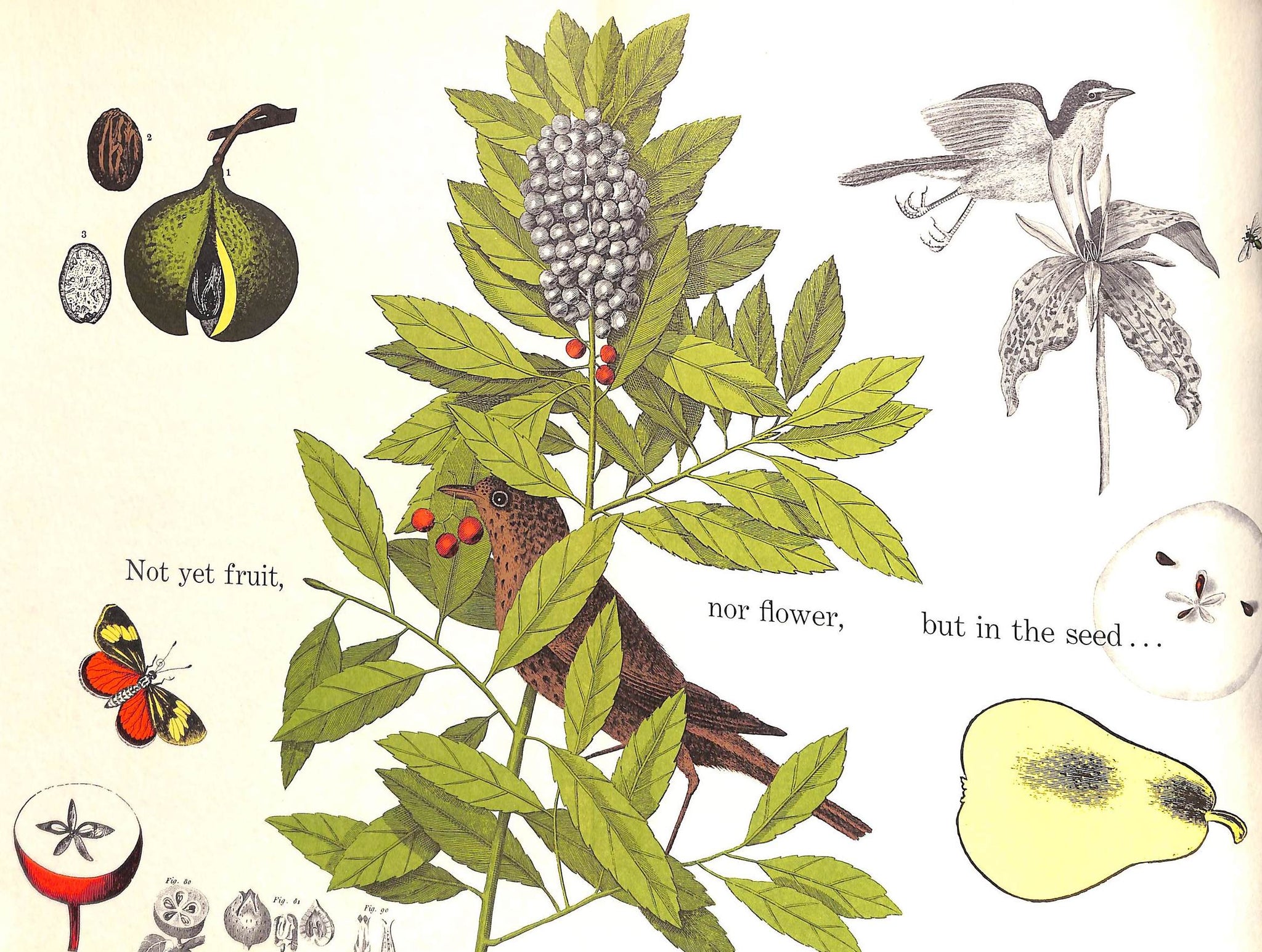 "Gentry Magazine Number 22 Spring 1957"