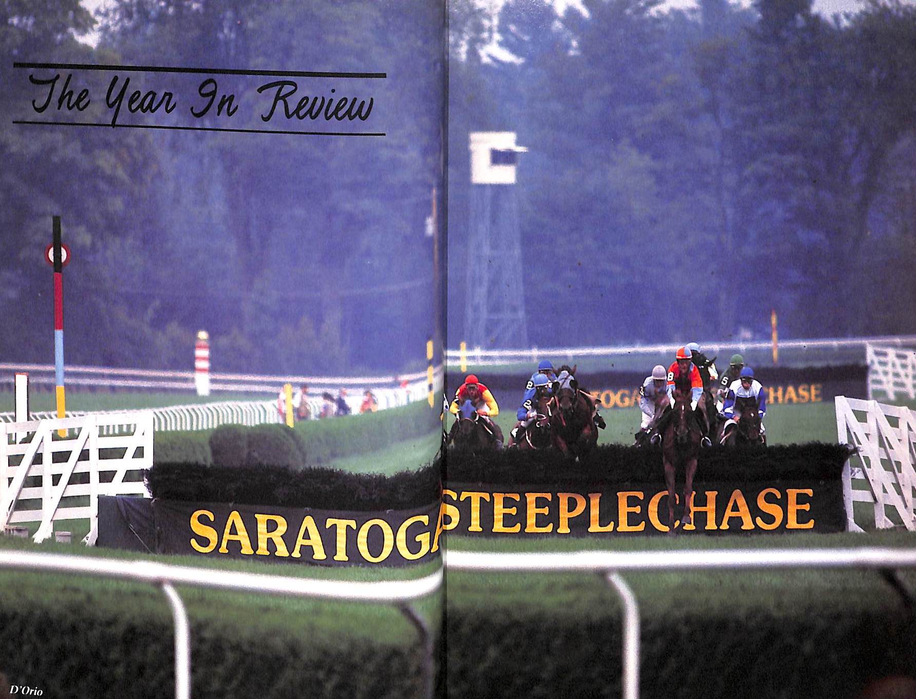 "American Steeplechasing 1986" 1986 COLGAN, Charles T. [editor]