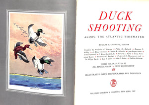 "Duck Shooting Along The Atlantic Tidewater" 1947