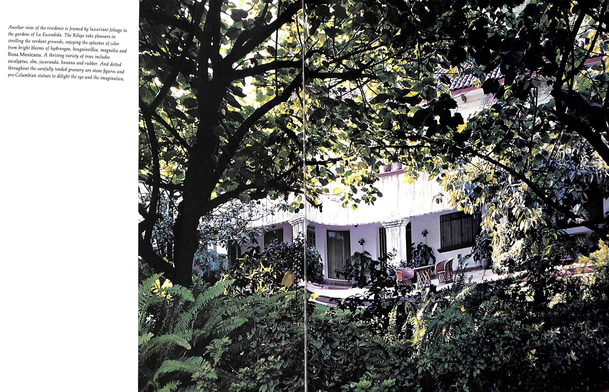 "Celebrity Homes: Architectural Digest Presents The Private Worlds Of Thirty International Personalities" 1977 RENSE, Paige [edited by]