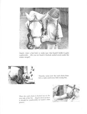 "Learning To Drive Ponies" 1948 HOLYOAKE, Janet