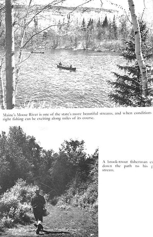 "All About Brook Trout From Maine To California" 1954 ELLIOT, Bob
