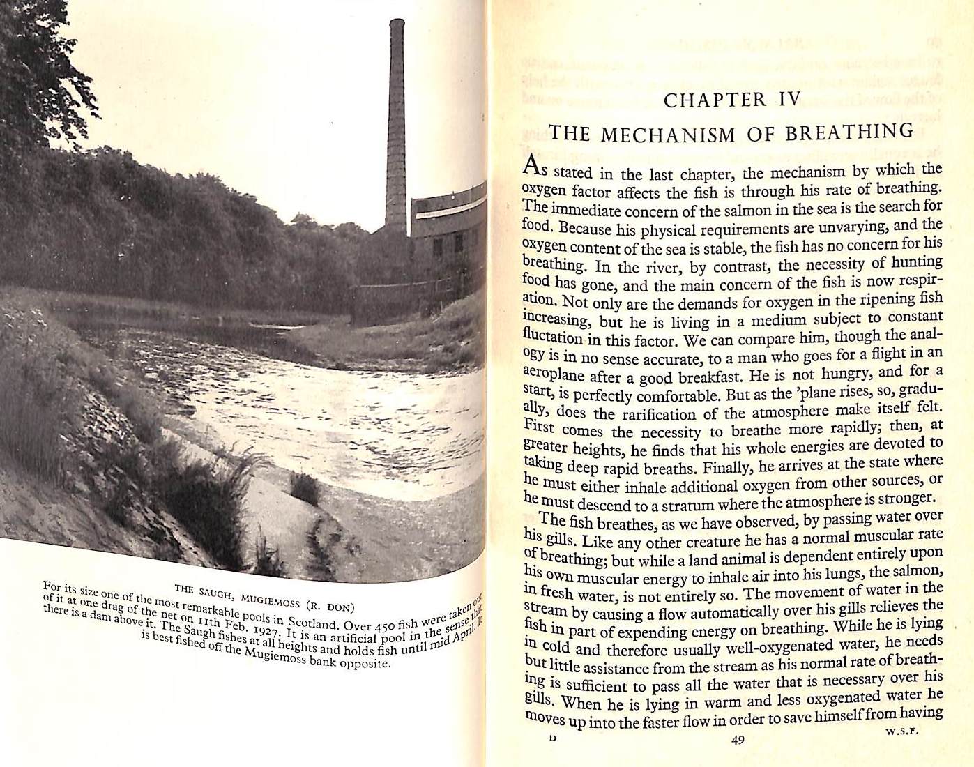 "Salmon Fishing: A New Philosophy" 1948 WADDINGTON, Richard