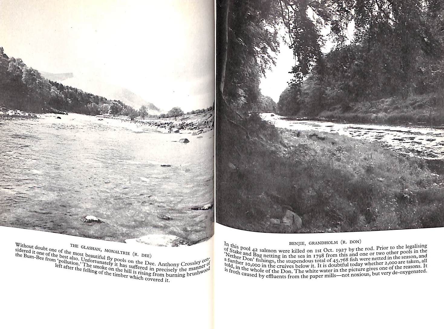 "Salmon Fishing: A New Philosophy" 1948 WADDINGTON, Richard