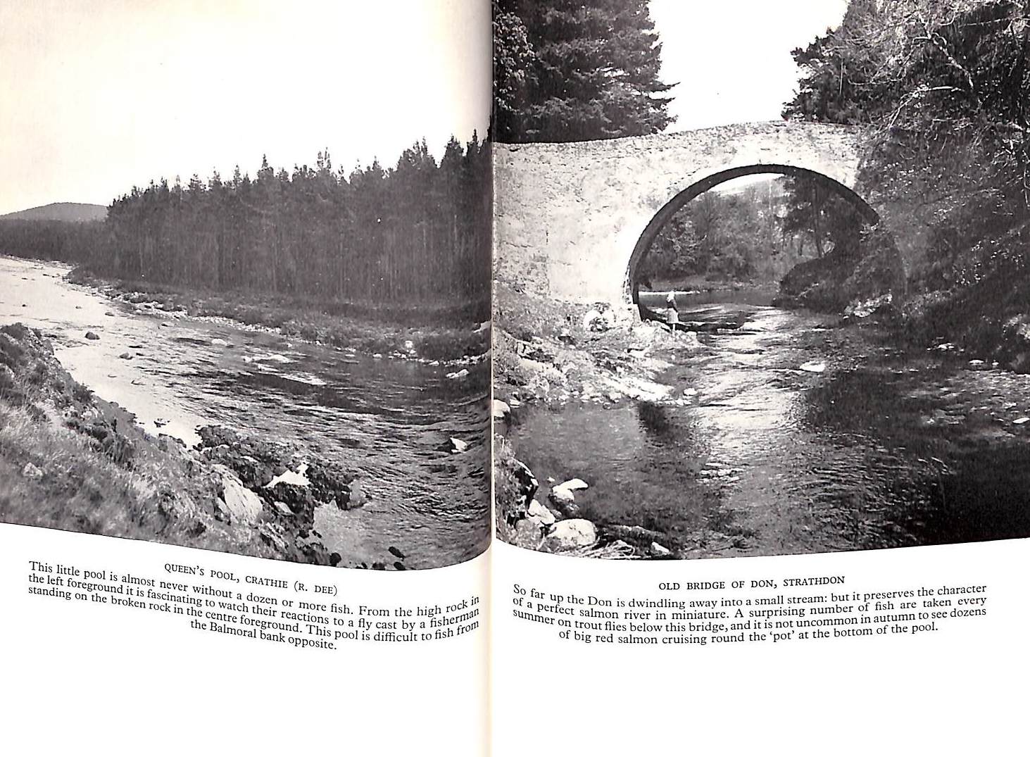 "Salmon Fishing: A New Philosophy" 1948 WADDINGTON, Richard